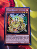 Tenpai Dragon GenRoku